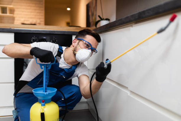 Trusted Country Homes, WA Pest Control Experts