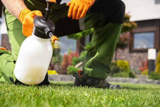 Best Local Pest Control Services  in Country Homes, WA