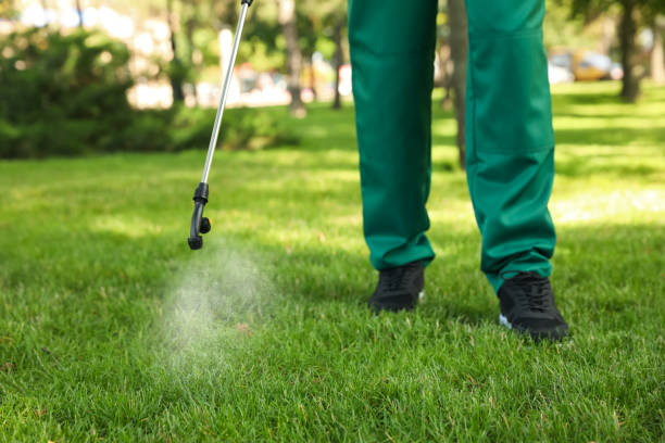 Best Best Pest Control Companies  in Country Homes, WA