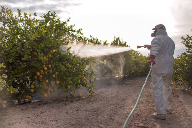 Best Residential Pest Control  in Country Homes, WA