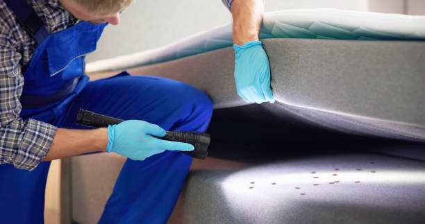 Best Flea Control Services  in Country Homes, WA