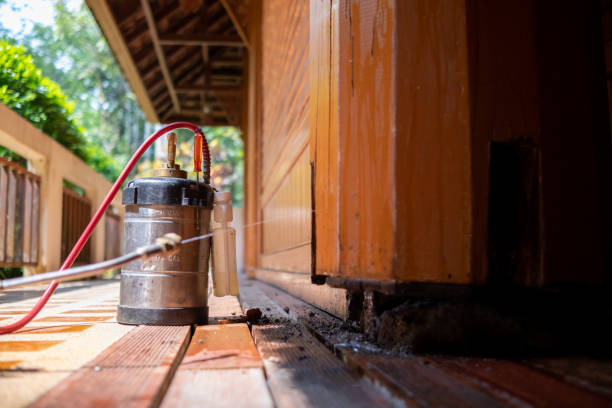 Best Emergency Pest Control  in Country Homes, WA