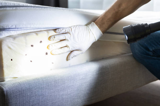 Best Pest Control Near Me  in Country Homes, WA