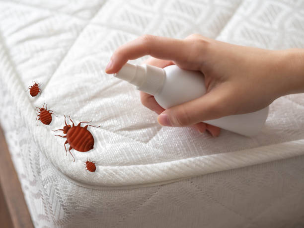 Best Pest Control Near Me  in Country Homes, WA