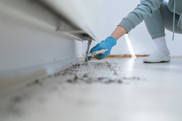 Pest Control Cost in Country Homes, WA